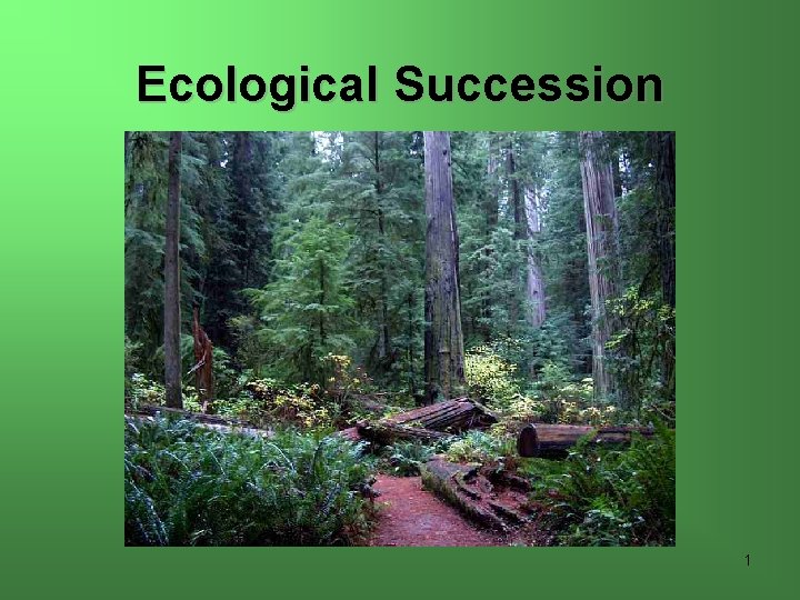 Ecological Succession 1 