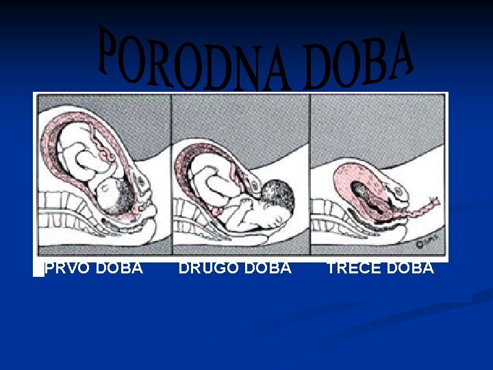 PRVO DOBA DRUGO DOBA TREĆE DOBA 