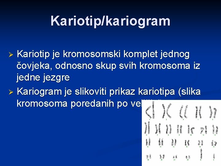 Kariotip/kariogram Kariotip je kromosomski komplet jednog čovjeka, odnosno skup svih kromosoma iz jedne jezgre