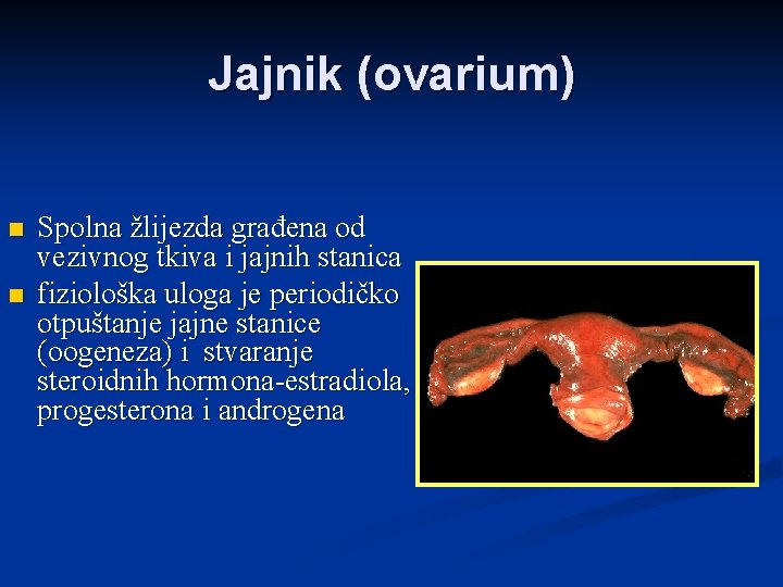 Jajnik (ovarium) n n Spolna žlijezda građena od vezivnog tkiva i jajnih stanica fiziološka