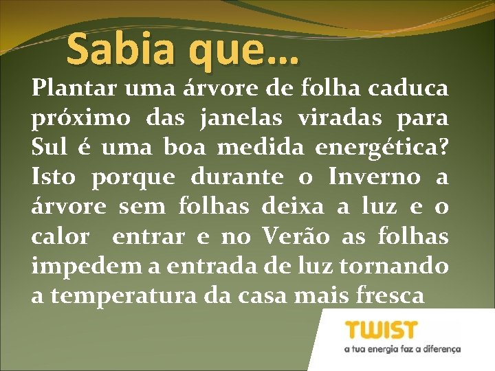 Sabia que… Plantar uma árvore de folha caduca próximo das janelas viradas para Sul