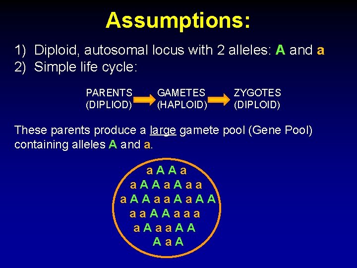 Assumptions: 1) Diploid, autosomal locus with 2 alleles: A and a 2) Simple life