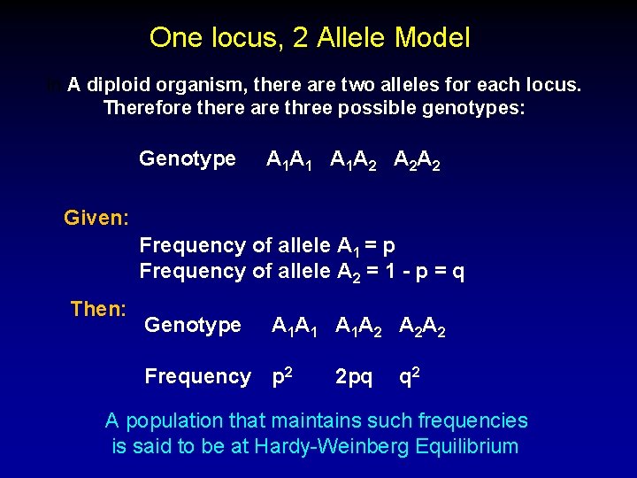One locus, 2 Allele Model In A diploid organism, there are two alleles for