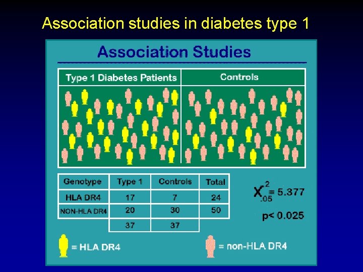 Association studies in diabetes type 1 