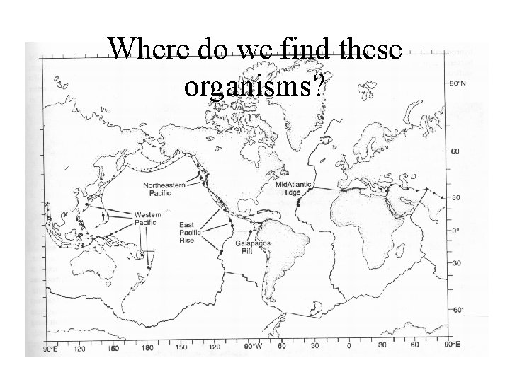 Where do we find these organisms? 