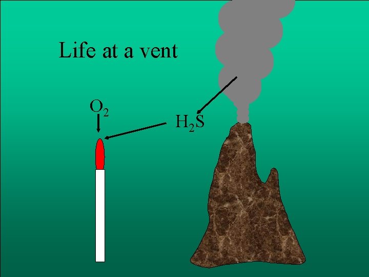 Life at a vent O 2 H 2 S 