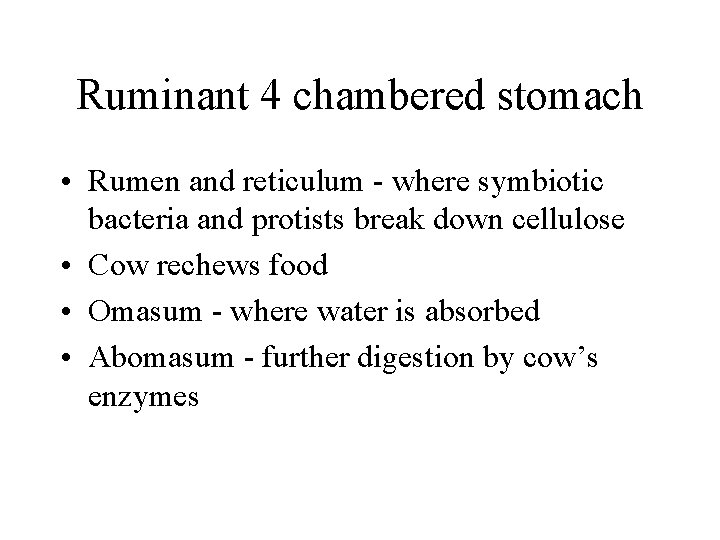 Ruminant 4 chambered stomach • Rumen and reticulum - where symbiotic bacteria and protists