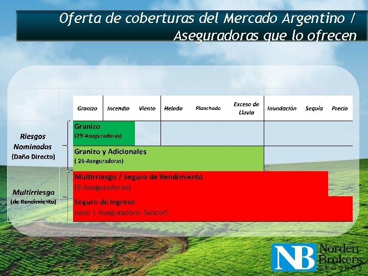 Oferta de coberturas del Mercado Argentino / Aseguradoras que lo ofrecen 