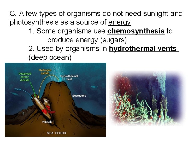 C. A few types of organisms do not need sunlight and photosynthesis as a