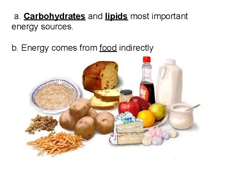 a. Carbohydrates and lipids most important energy sources. b. Energy comes from food indirectly