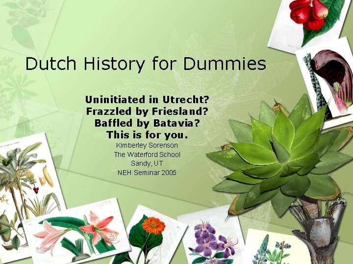 Dutch History for Dummies Uninitiated in Utrecht? Frazzled by Friesland? Baffled by Batavia? This