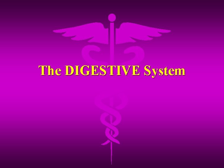 The DIGESTIVE System 