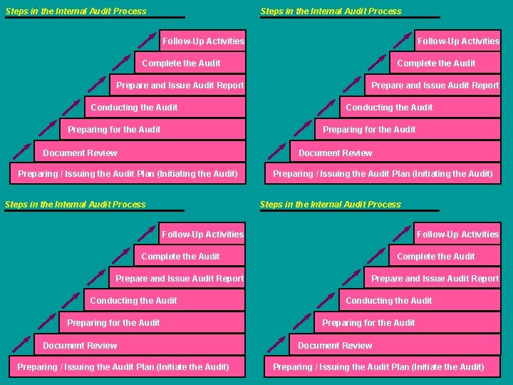 Steps in the Internal Audit Process Follow-Up Activities Complete the Audit Prepare and Issue