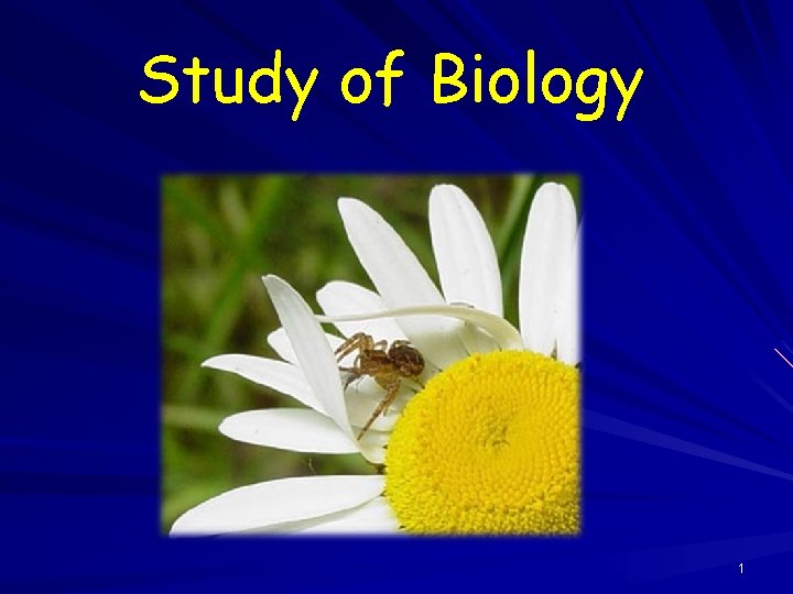 Study of Biology 1 