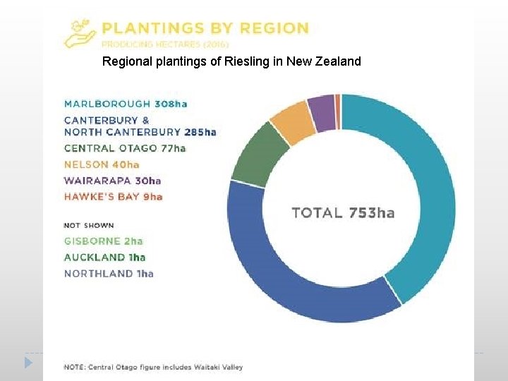 Regional plantings of Riesling in New Zealand 