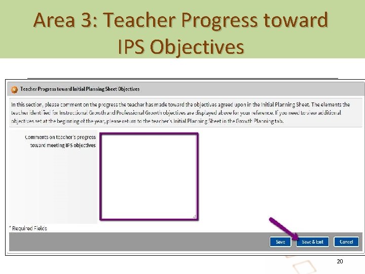 Area 3: Teacher Progress toward IPS Objectives 20 