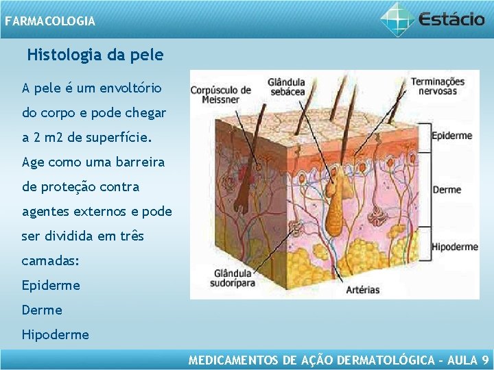 FARMACOLOGIA Histologia da pele A pele é um envoltório do corpo e pode chegar FARMACOLOGIA Histologia da pele A pele é um envoltório do corpo e pode chegar