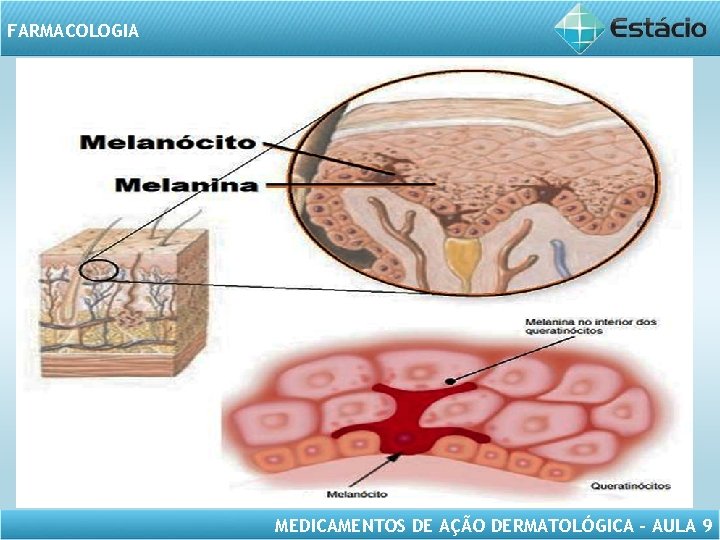 FARMACOLOGIA MEDICAMENTOS DE AÇÃO DERMATOLÓGICA – AULA 9 