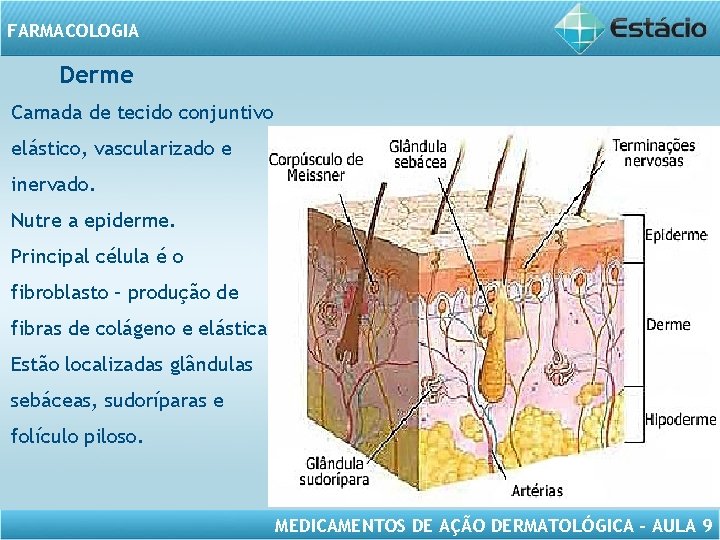 FARMACOLOGIA Derme Camada de tecido conjuntivo elástico, vascularizado e inervado. Nutre a epiderme. Principal