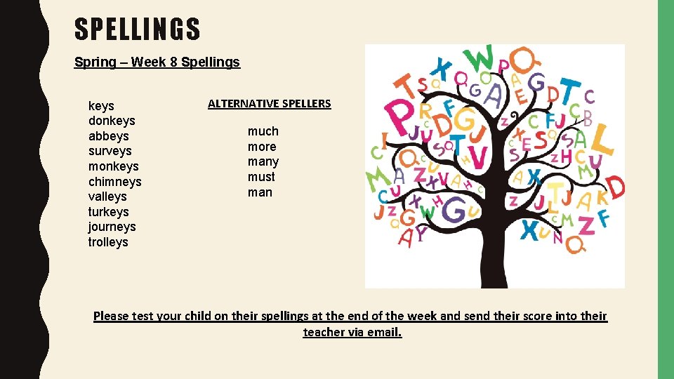 SPELLINGS Spring – Week 8 Spellings keys donkeys abbeys surveys monkeys chimneys valleys turkeys