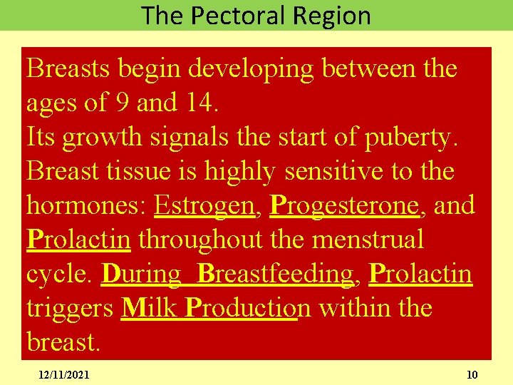 The Pectoral Region Breasts begin developing between the ages of 9 and 14. Its