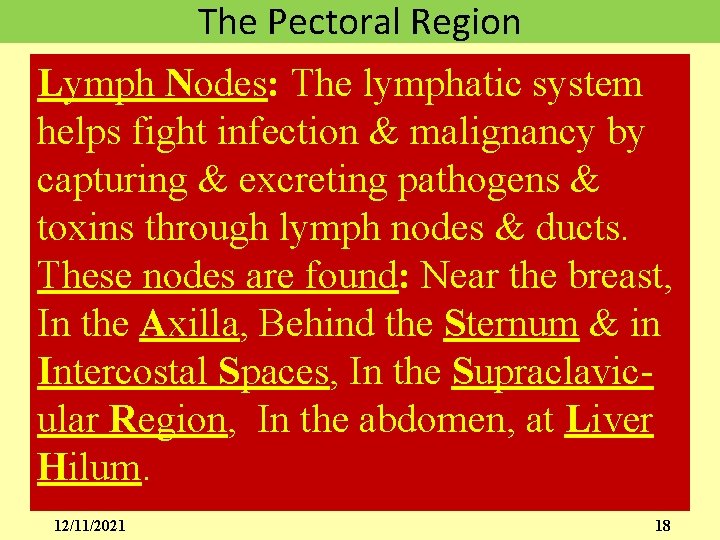 The Pectoral Region Lymph Nodes: The lymphatic system helps fight infection & malignancy by