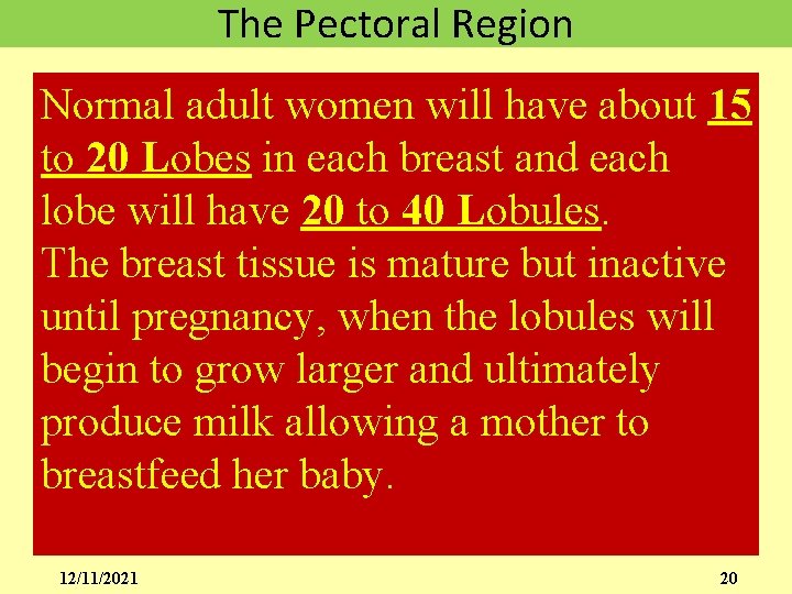 The Pectoral Region Normal adult women will have about 15 to 20 Lobes in