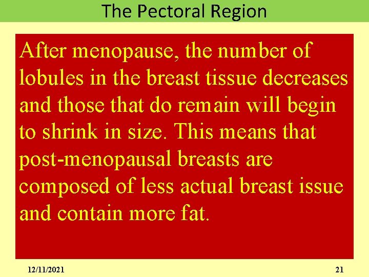 The Pectoral Region After menopause, the number of lobules in the breast tissue decreases