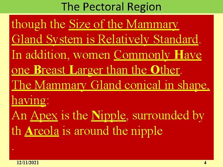 The Pectoral Region though the Size of the Mammary Gland System is Relatively Standard.