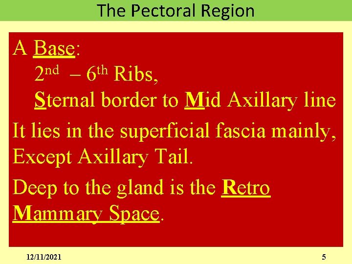 The Pectoral Region A Base: nd th 2 – 6 Ribs, Sternal border to