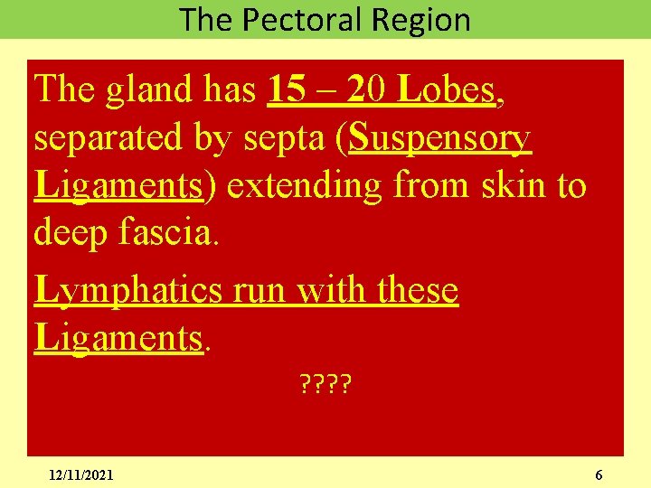 The Pectoral Region The gland has 15 – 20 Lobes, separated by septa (Suspensory