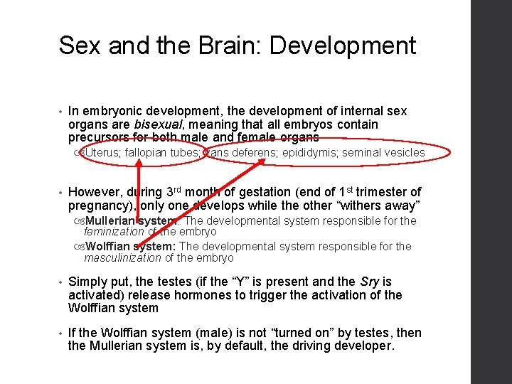 Sex and the Brain: Development • In embryonic development, the development of internal sex