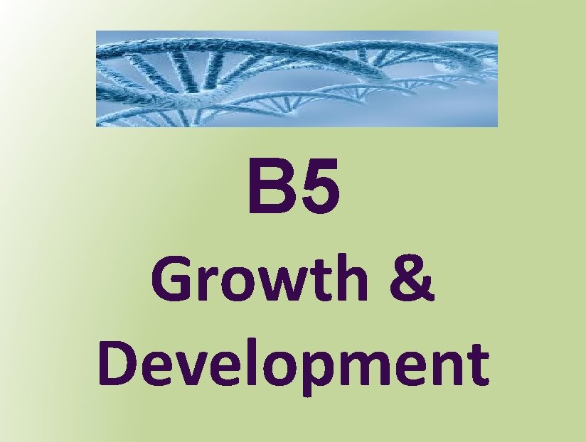B 5 Growth & Development 