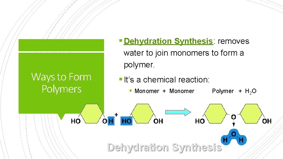 § Dehydration Synthesis: removes Ways to Form Polymers water to join monomers to form