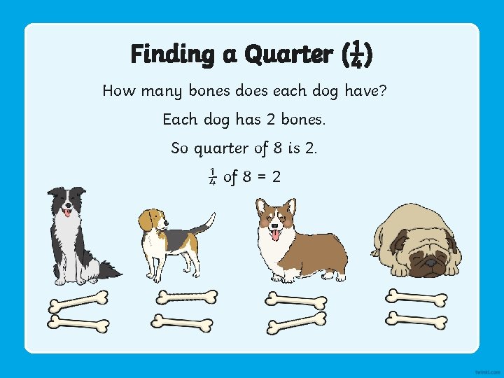 Finding a Quarter (¼) How many bones does each dog have? Each dog has