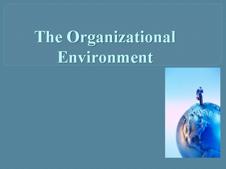 The Organizational Environment 
