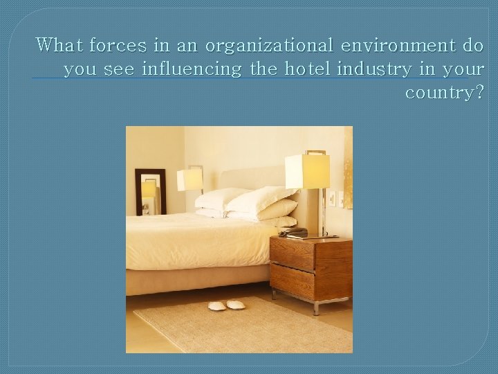 What forces in an organizational environment do you see influencing the hotel industry in