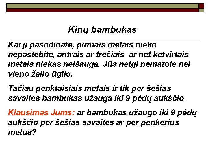 Kinų bambukas Kai jį pasodinate, pirmais metais nieko nepastebite, antrais ar trečiais ar net