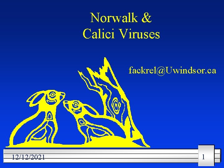 Norwalk & Calici Viruses fackrel@Uwindsor. ca 12/12/2021 1 