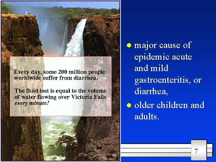 major cause of epidemic acute and mild gastroenteritis, or diarrhea, l older children and