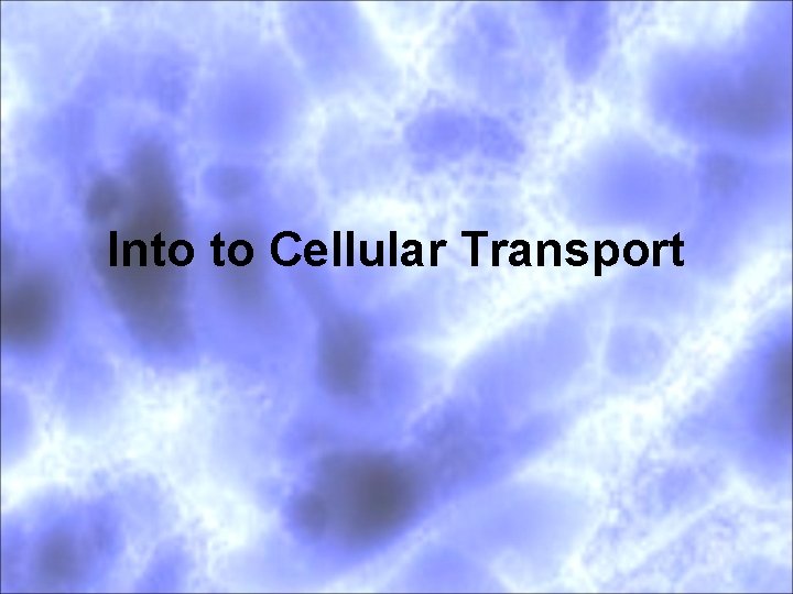 Into to Cellular Transport 