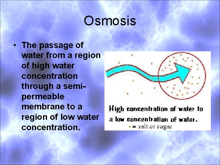Osmosis • The passage of water from a region of high water concentration through