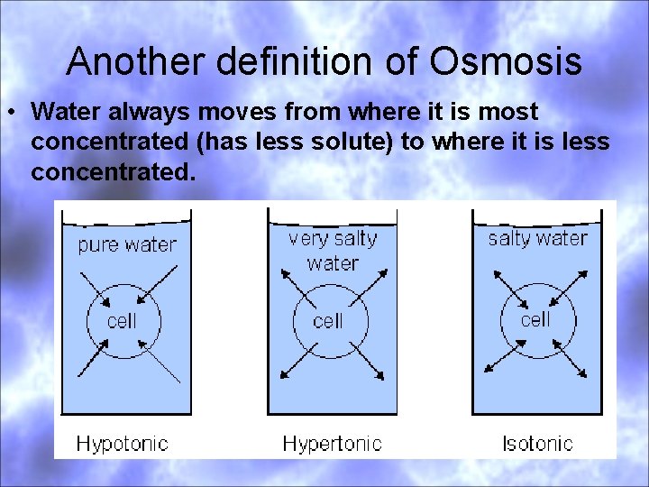 Another definition of Osmosis • Water always moves from where it is most concentrated
