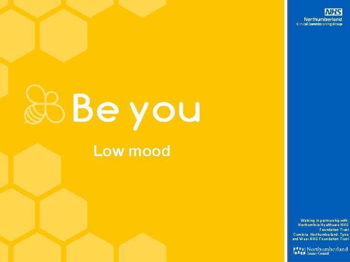 Low mood Working in partnership with: Northumbria Healthcare NHS Foundation Trust Cumbria, Northumberland, Tyne
