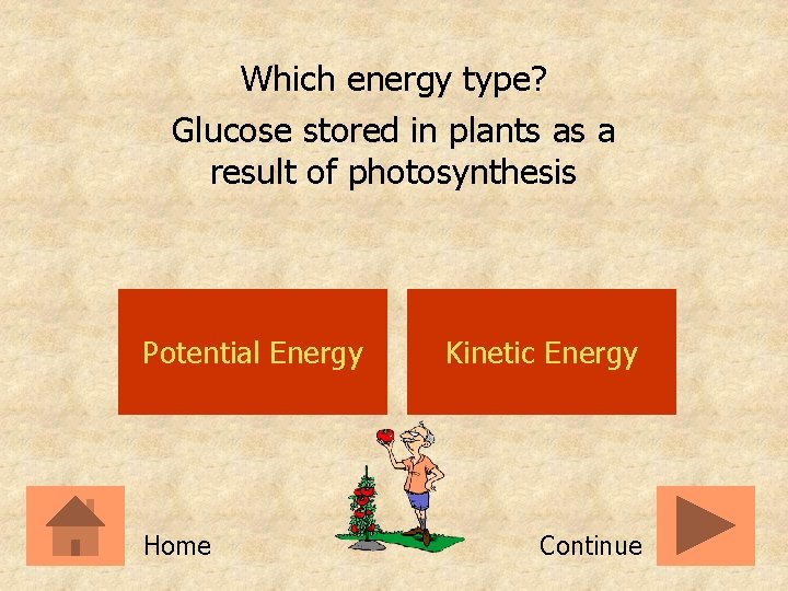 Which energy type? Glucose stored in plants as a result of photosynthesis Potential Energy