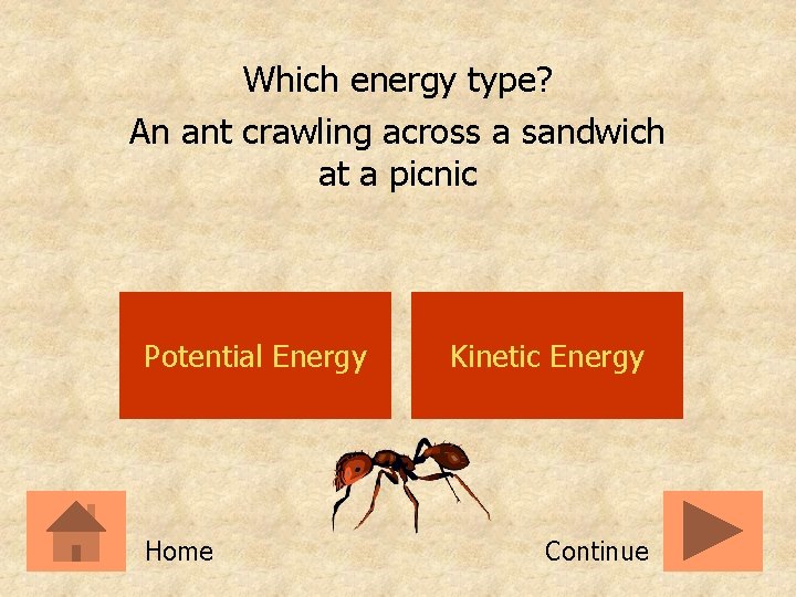 Which energy type? An ant crawling across a sandwich at a picnic Potential Energy