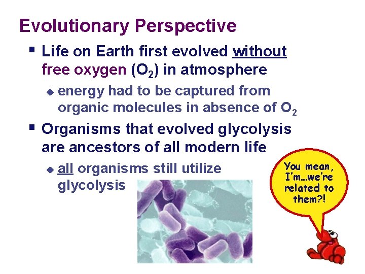 Evolutionary Perspective § Life on Earth first evolved without free oxygen (O 2) in