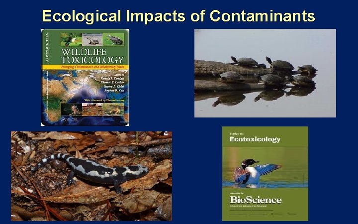 Ecological Impacts of Contaminants Ecological Impacts of Contaminants