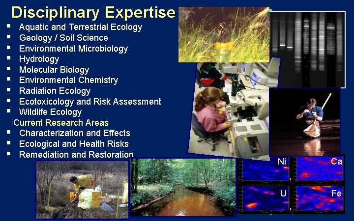 § § § § § Disciplinary Expertise Aquatic and Terrestrial Ecology Geology / Soil § § § § § Disciplinary Expertise Aquatic and Terrestrial Ecology Geology / Soil