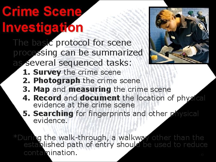 Crime Scene Investigation The basic protocol for scene processing can be summarized as several